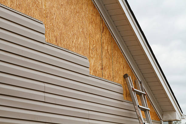 Best Vinyl Siding Installation  in Bloomington, TX